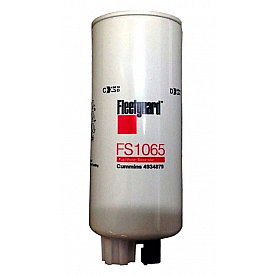Cummins Power Generation Generator Fuel Filter - FS1065