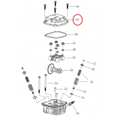 Powerhouse Generator Valve Cover 63542