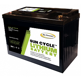 Go Power Solar Battery 31 Group - LIFEPO4100