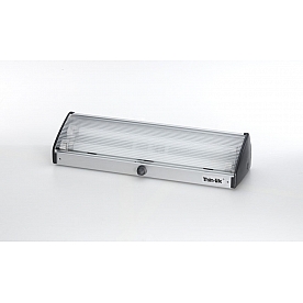 Thin-Lite Porch Light Fluorescent Rectangular Clear DIST162C
