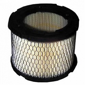 Cummins Power Generation Generator Air Filter - 140-0495