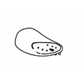 Thetford Toilet Flush Control Panel 32320