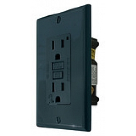 Valterra Receptacle 110 Volt Black - DG15VP