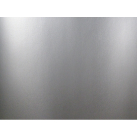 FRV Inc. Ice Machine Door Panel BI-95-BA