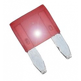 Valterra ASP Mini Fuse  Red Blade 10 Amp - Set Of 2 - DGIF111VP