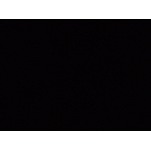 Norcold Refrigerators Lower Door Panel 98P-L