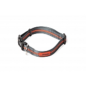 Dexas International Pet Collar Dogs Or Cats - PWC0304322