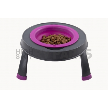 Dexas International Pet Dish Fuchsia - PW13043224-1