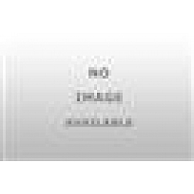 Timken Bearings and Seals Wheel Bearing Race L68110