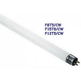 Thin-Lite Multi Purpose Light Bulb F13T5/CW