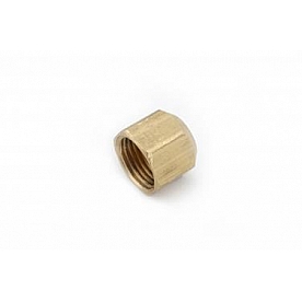 Anderson Fitting Plug/ Cap 7/8 Inch-14 Brass - 704040-10
