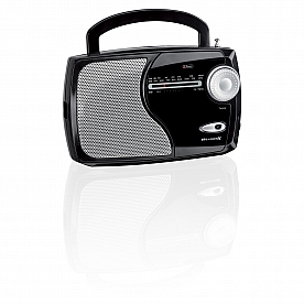 Digital Products International AM/ FM Radio - WR282B