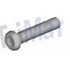 Trimark Self Tapping/ Thread Forming Screw Screw - 15554-01