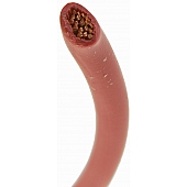 Dorman Primary Wire 12 Gauge 100 Feet Red - 85748