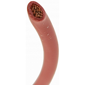 Dorman Primary Wire 12 Gauge 100 Feet Red - 85748