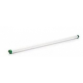 Speedway Multi Purpose Light Bulb F15T8CW