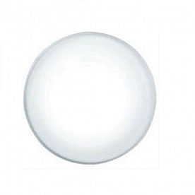 Gustafson Interior Light Surface Mounting Halogen Light Frosted