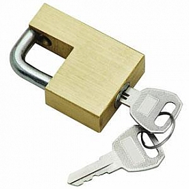 Reese Trailer Coupler Lock Towpower With 2 Keys 7005300