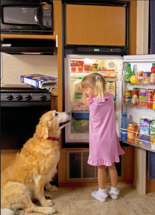 Norcold UltraLine 1210SS RV Refrigerator / Freezer - 2-Way - 12 Cubic Feet